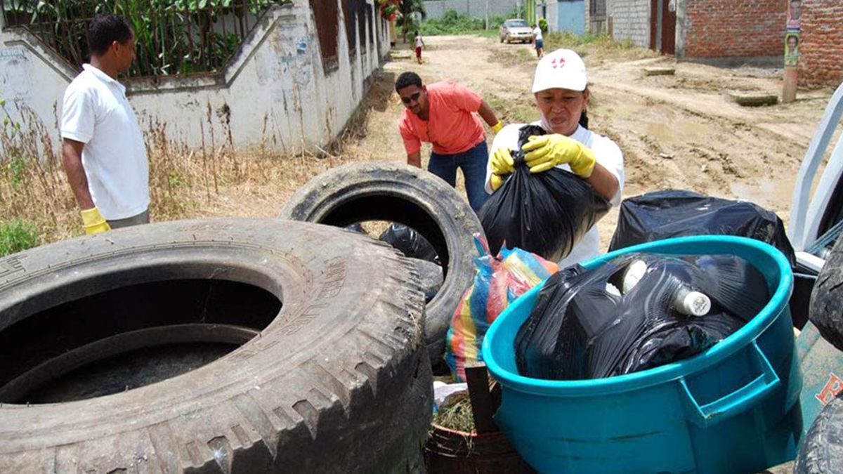 Cómo prevenir el dengue: consejos y recomendaciones&nbsp;