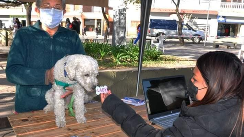 Todo Jujuy | Vacunación antirrábica: Campaña gratuita en Alto Comedero