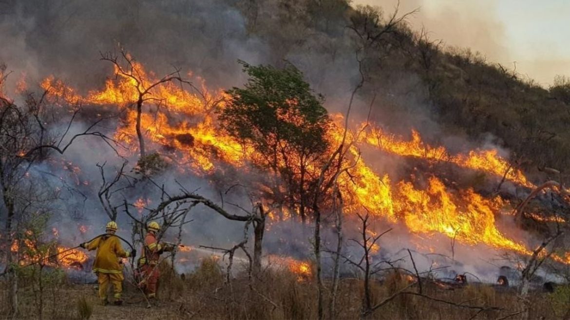 Todo Jujuy | Incendio en el Parque Nacional Calilegua
