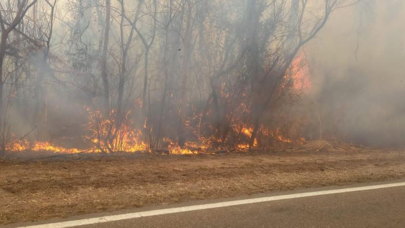 Alerta por riesgo alto de incendios en Jujuy.