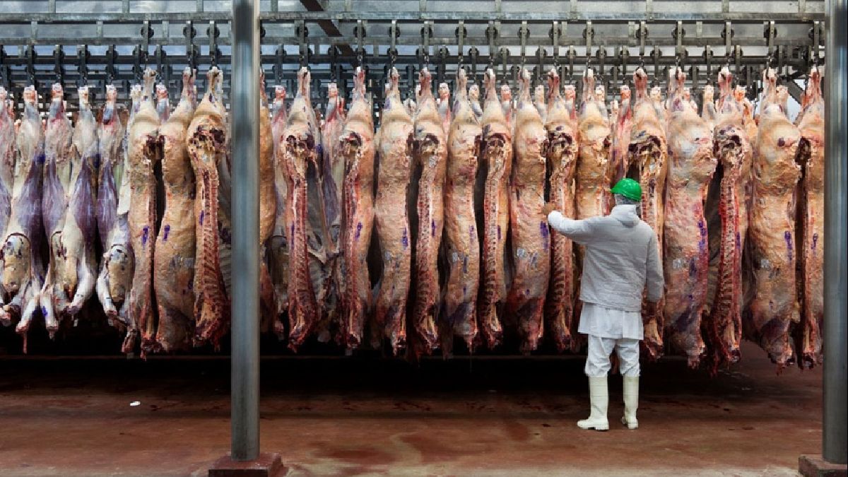 El Gobierno apuesta a la carne para sumar dólares y baja retenciones a cero