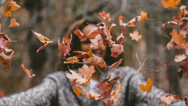 Hoy comienza el otoño, ¿por qué y a qué hora?. 