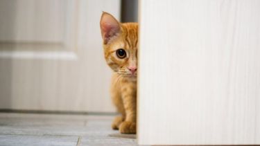 Una llegada muy tierna.