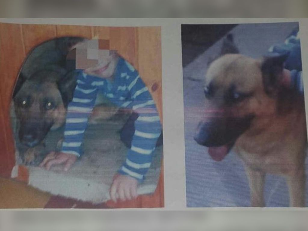 Santi busca a Chiquita