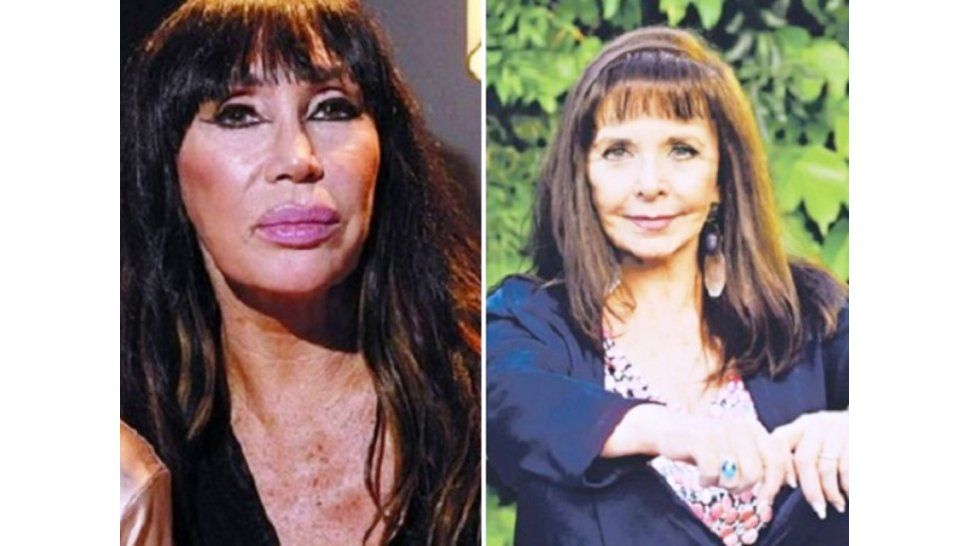 Casan y Faiad