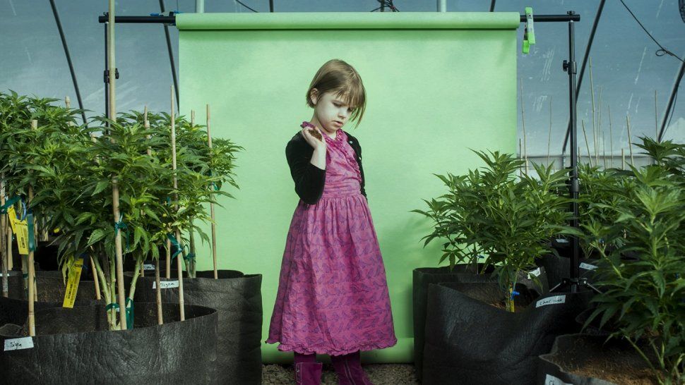 Murió la niña que inspiró la creación del aceite de cannabis