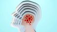 En Francia descubrieron un mecanismo del cerebro para adaptarse en su respuesta tras infecciones o lesiones.