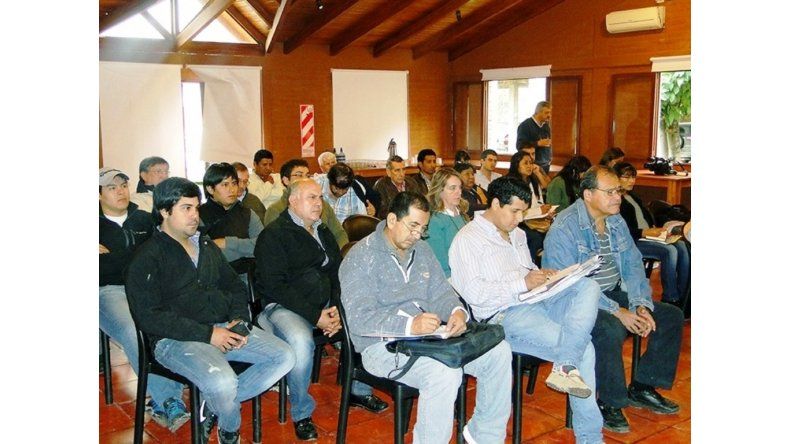 Actores sector productivo