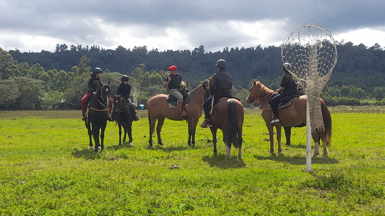 Pato adaptado en Jujuy