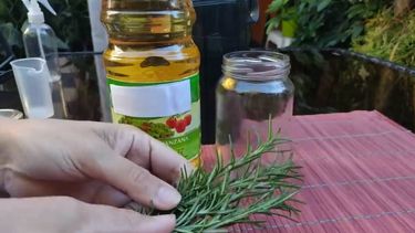 Creación de repelentes caseros - Foto de YouTube