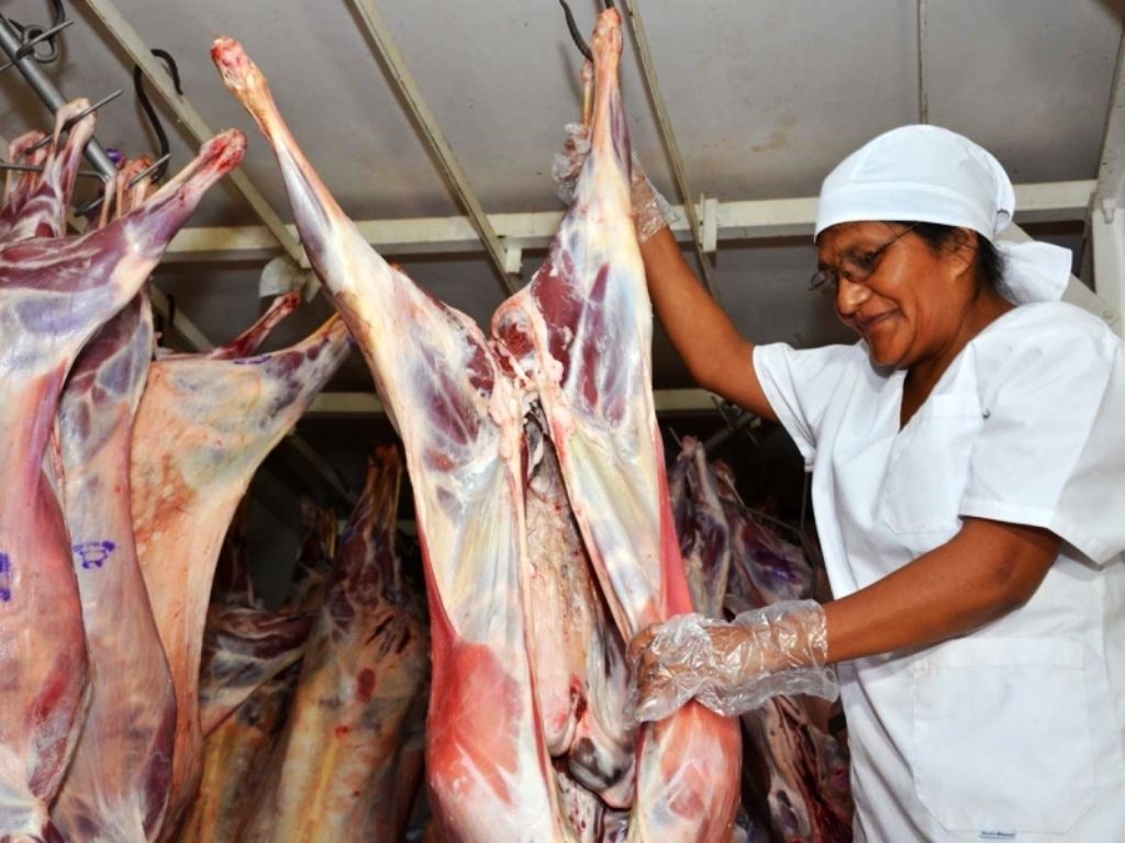 "Cordero para todos"
