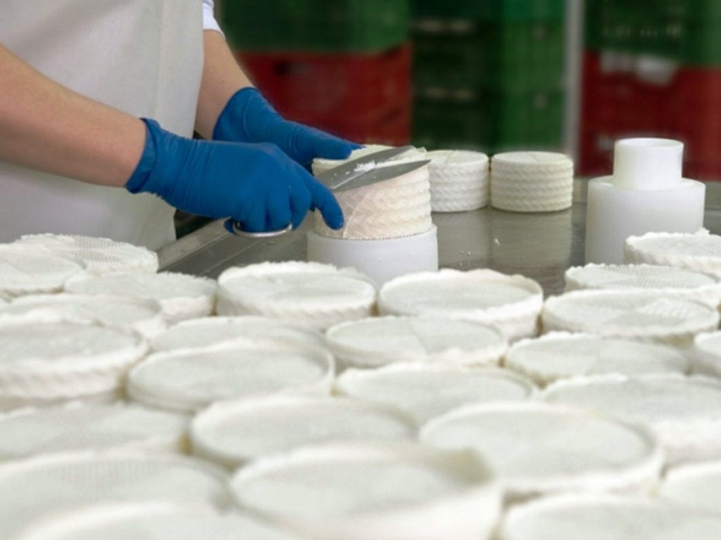 Tecnicatura en Producción Lechera