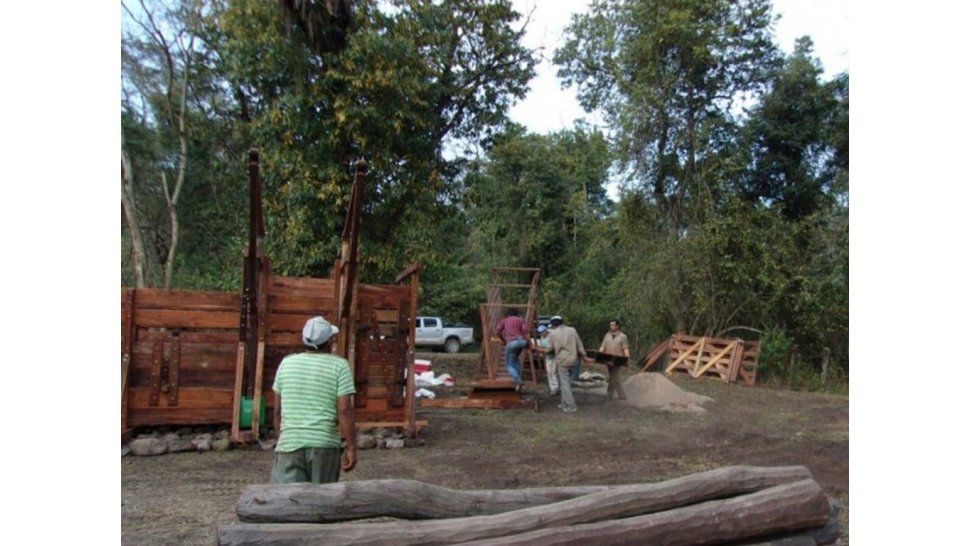 Impulso a la producción bovina