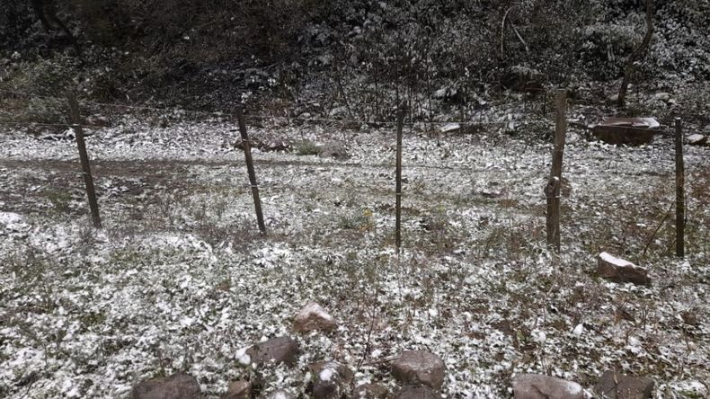 Las mejores fotos de la primera nevada en Jujuy: Los Nogales y Yala