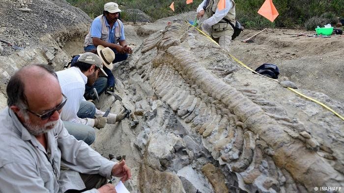 México Identificaron Nueva Especie De Dinosaurio 6339