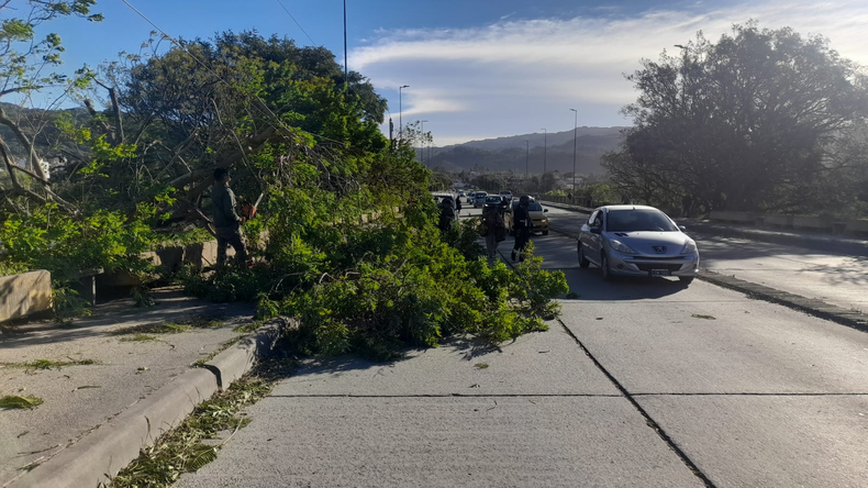 Toda la provincia de Jujuy bajo alerta por vientos y luego bajan las temperaturas