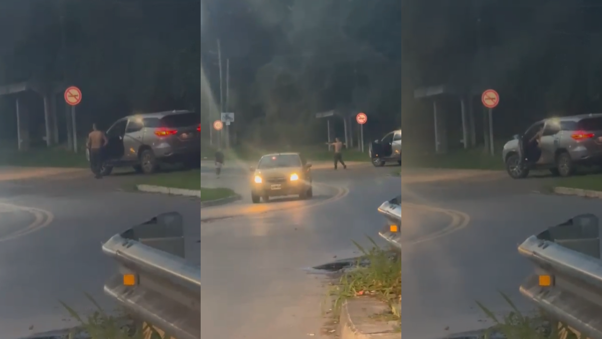 jujuy: amenazo con un rifle de aire comprimido en bajo la vina y quedo detenido