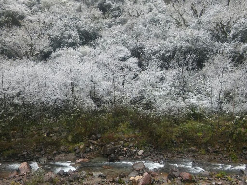 Lagunas de Yala