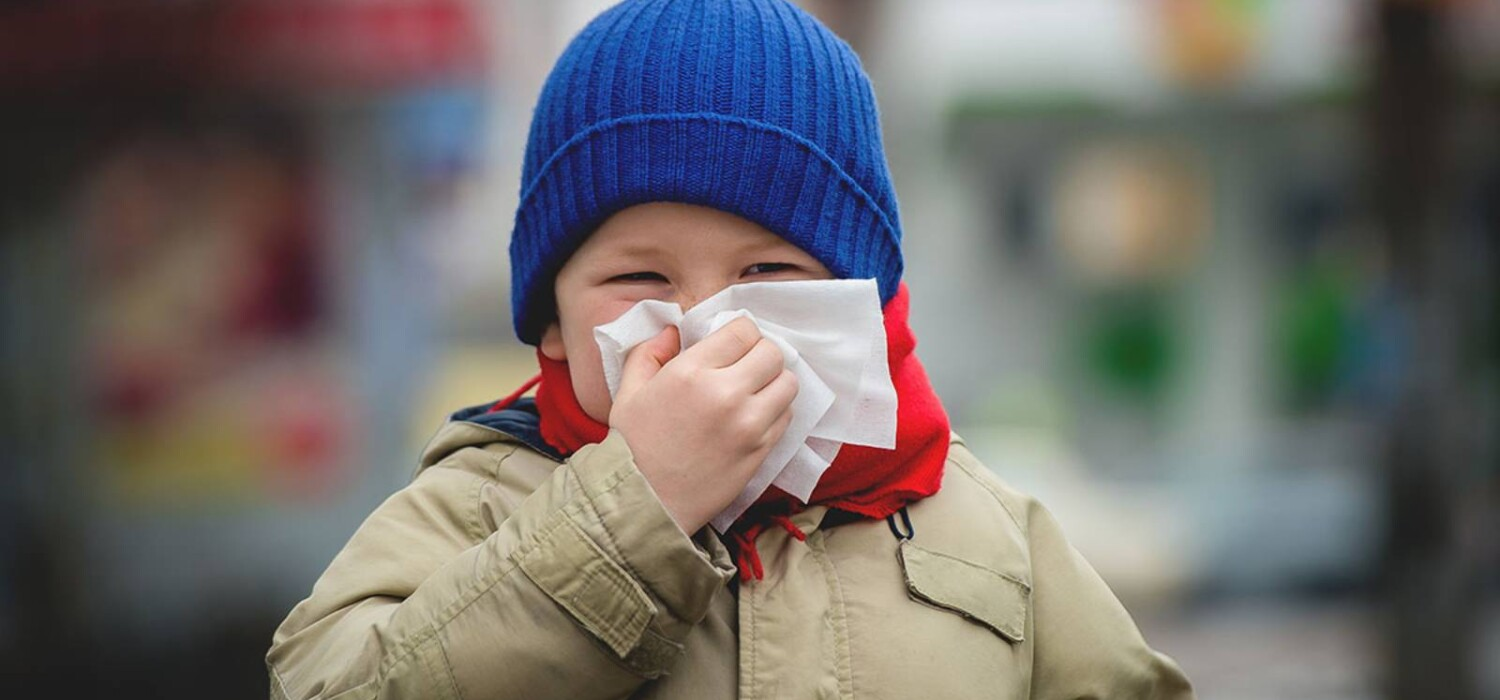 Gripe&nbsp;