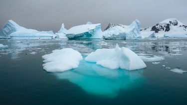 Preocupación en los expertos por la pérdida de hielo en la Antártida.
