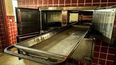 Mar del Plata: ratas se comieron partes de dos cadáveres en la morgue.