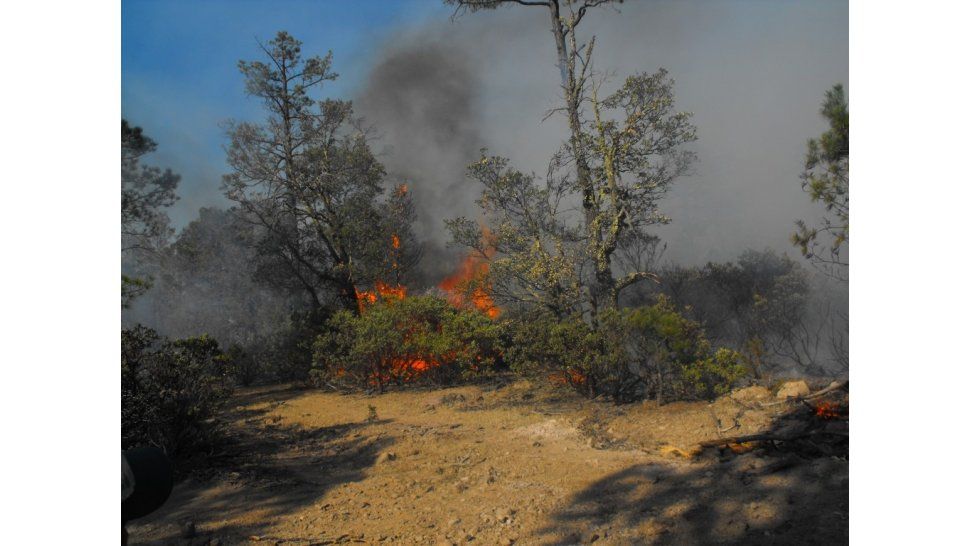 Incendios forestales