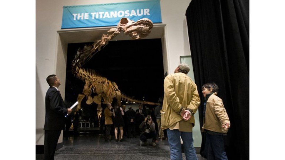 réplica del Titanosaurio
