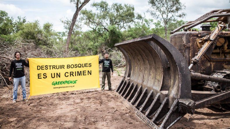 Según Greenpeace ningún candidato asume los problemas ambientales