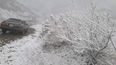 La nieve sorprendió a los habitantes de Tarija en Bolivia