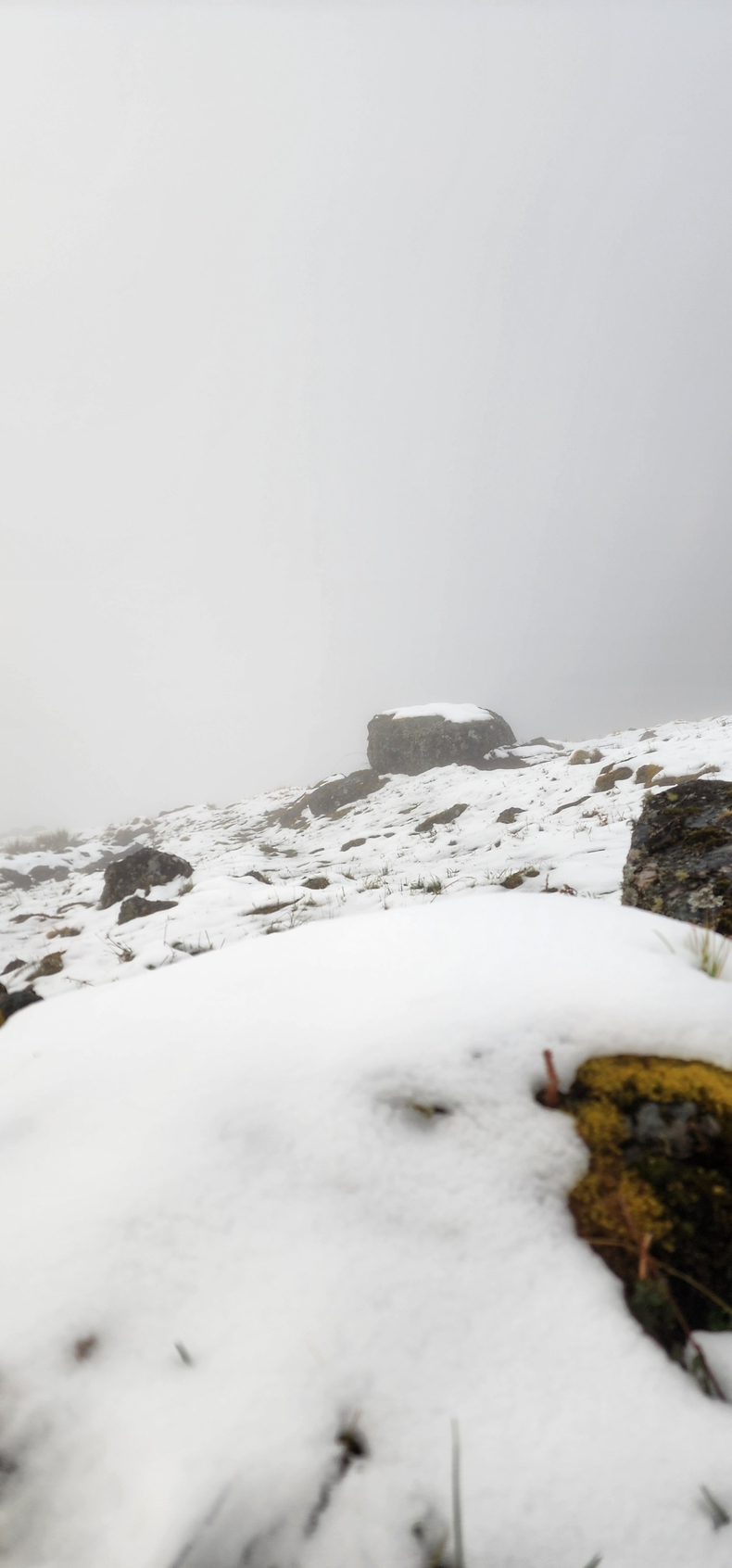 Nieve en Jujuy. Nieve en Jujuy.