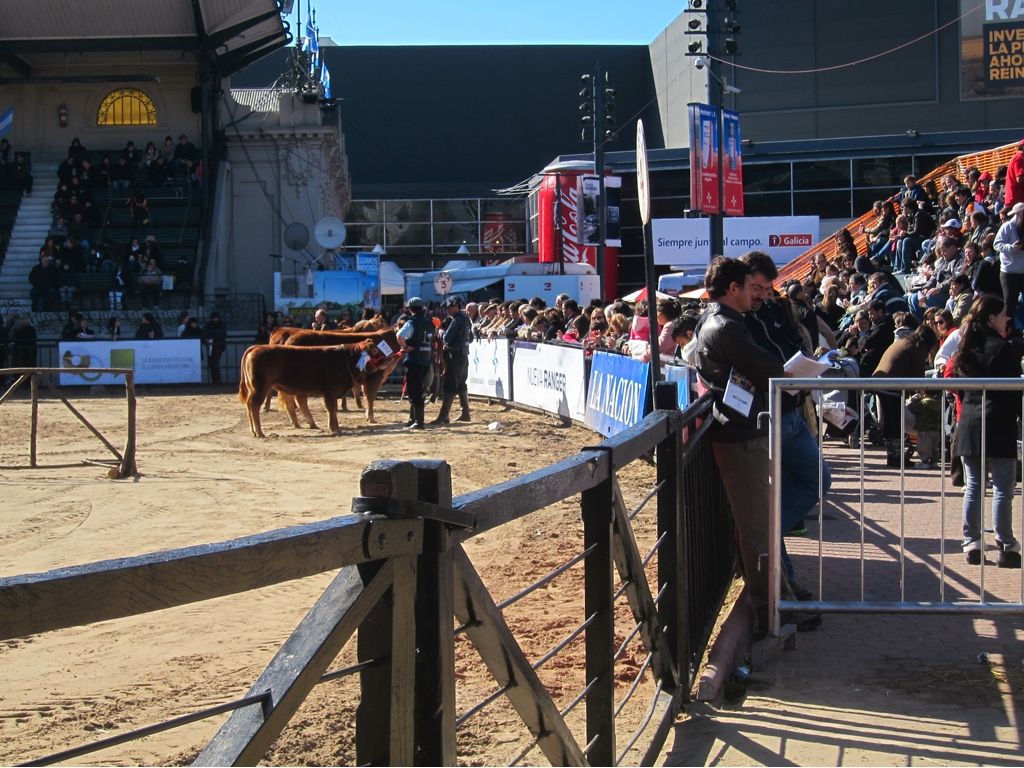 Expo Ganadería, Agricultura e Industria