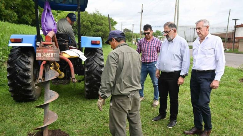 El Municipio impulsa programa de arborización masiva en toda la ciudad El Municipio impulsa programa de arborización masiva en toda la ciudad