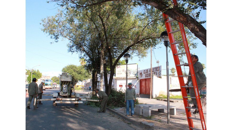 Corsos en la Éxodo