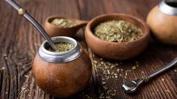 Científicas Argentinas crearon pilas recargables con yerba mate usada