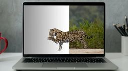 Crearon una herramienta que permite ver animales en realidad aumentada.