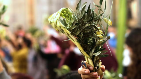 Todo Jujuy | Domingo de Ramos