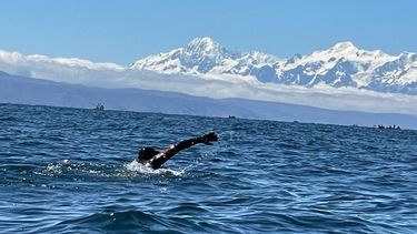 Jujeños cruzaron nadando el lago Titicaca