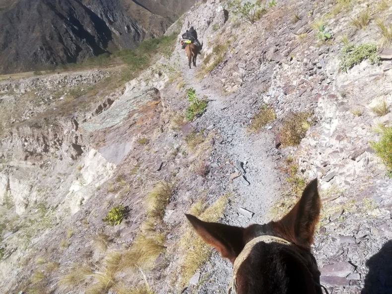 Un médico jujeño recorre lugares de Jujuy para atender a personas que viven en zonas