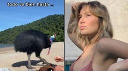 Joven se hizo viral tras publicar un video con un ave peligrosa.&nbsp;