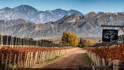 Chacras de Coria, un lugar lleno de magia en Mendoza.