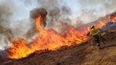 en agosto en jujuy hubo 50 incendios forestales con 600 hectareas afectadas