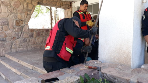 Todo Jujuy | Humahuaca: Un perrito quedó atascado pero lo pudieron sacar