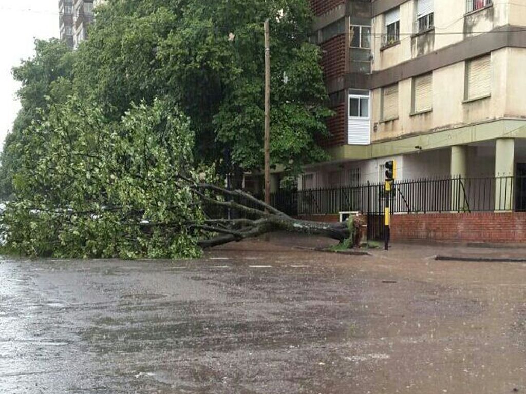 Lluvia