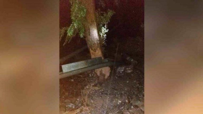 El árbol al que se aferró el hombre para salvarse (foto gentileza Tilcara Online).
