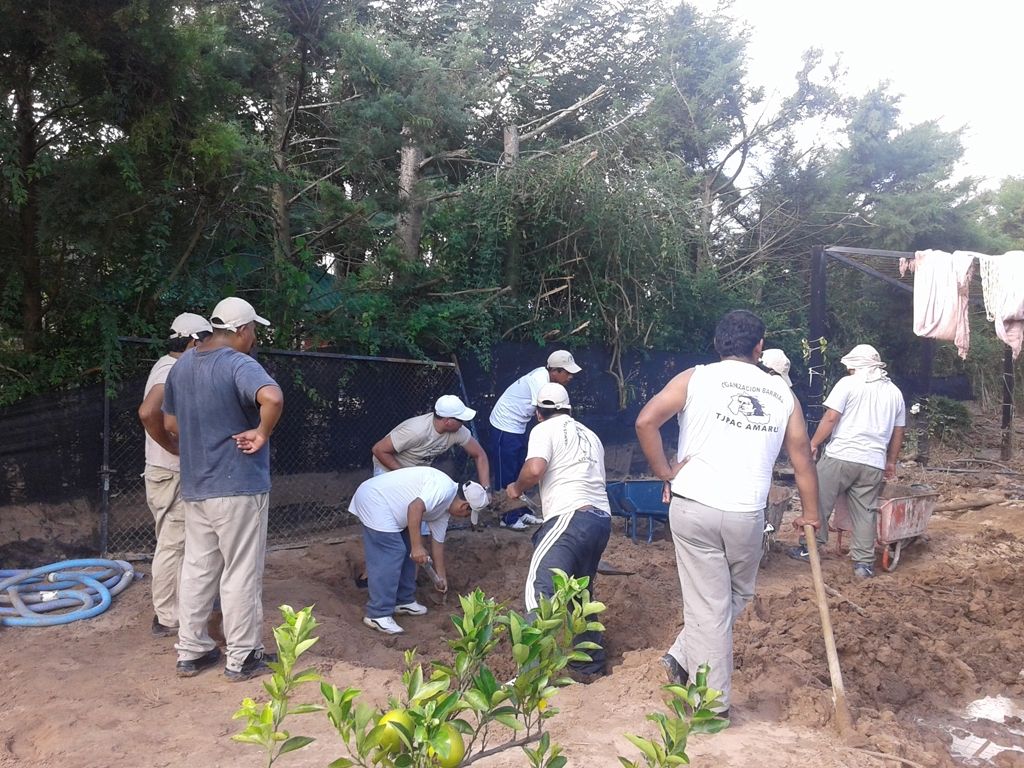 Los Alisos