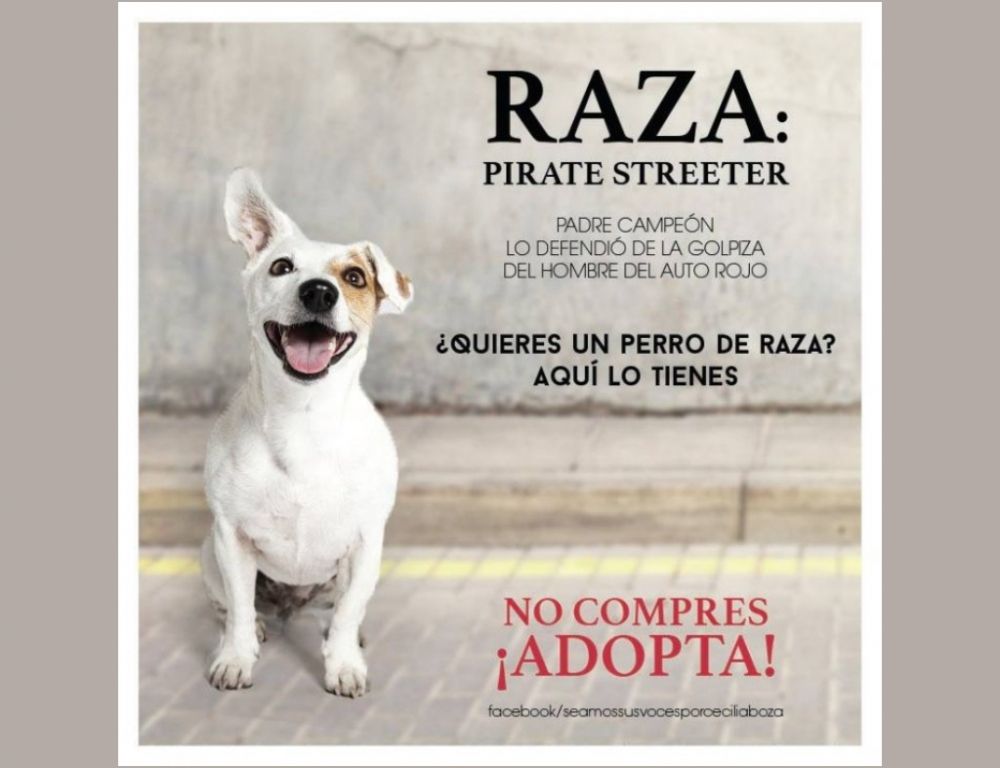 Los Streeter