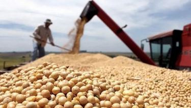 Arranca el dólar agro: cómo funcionará