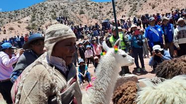 &nbsp;1er Festival Binacional Argentina- Bolivia Valle de Marte