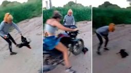 En Santiagodel Estero denuncian a dos mujeres por torturar y matar animales