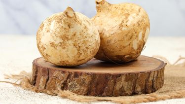 Nutrición inteligente: cómo los alimentos funcionales están cambiando la forma de cuidar el cuerpo
